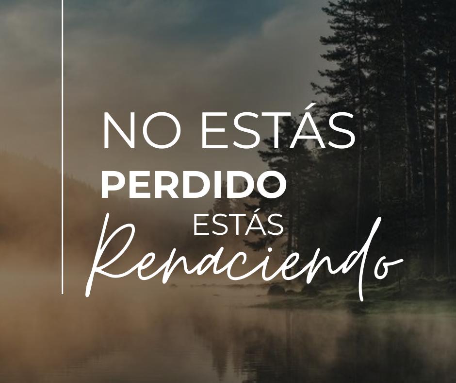 frase 2